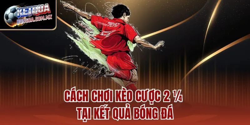Cách chơi kèo cược 2 ¼ tại Kết Quả Bóng Đá