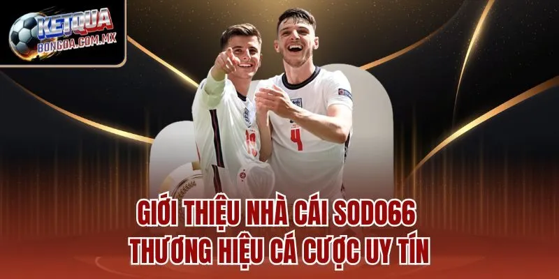 Giới thiệu nhà cái SODO66 - Thương hiệu cá cược uy tín