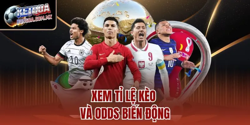 Xem tỉ lệ kèo và odds biến động